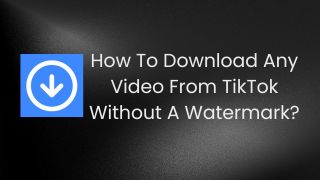How To Download Any Video From TikTok Without A Watermark? 
